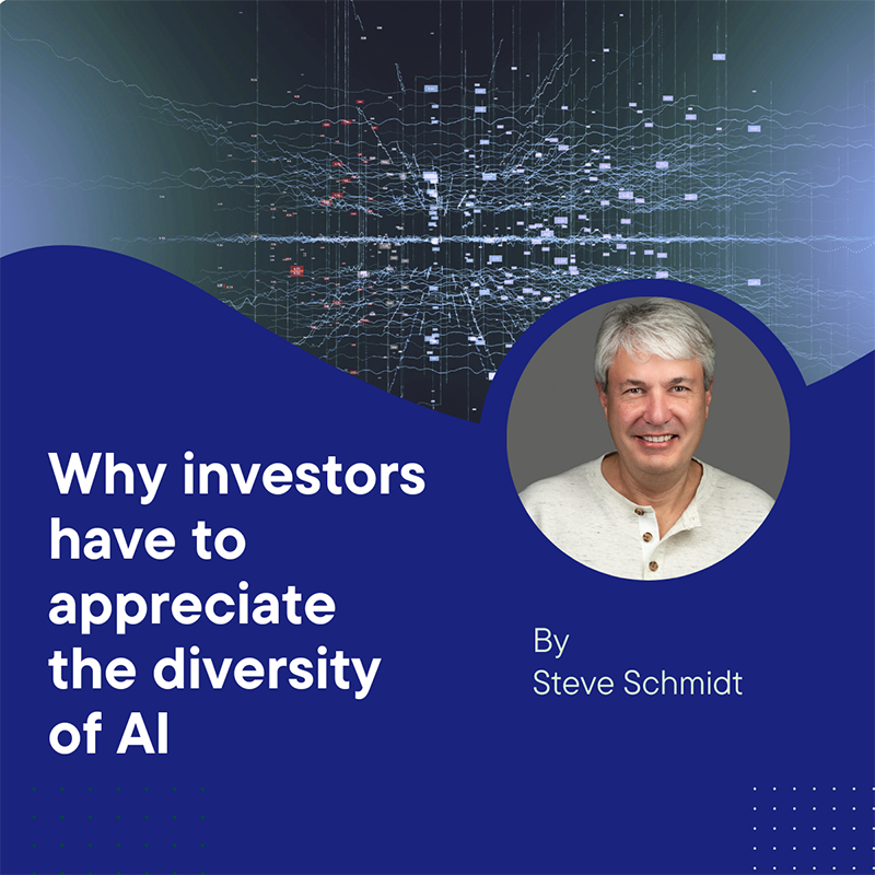 Why investors have to appreciate the diversity of AI
